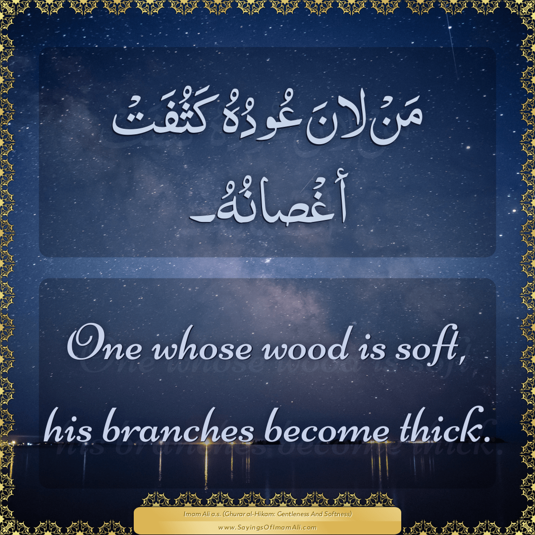 One whose wood is soft, his branches become thick.